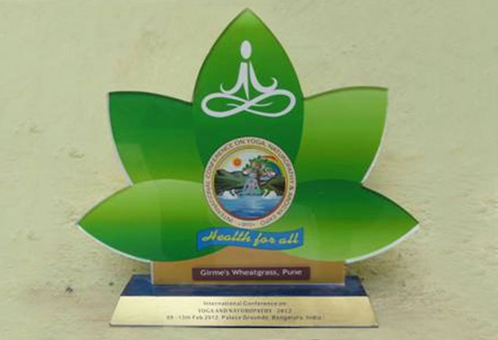 Mr. and Mrs. Hemant Girme with Swami Ramdev